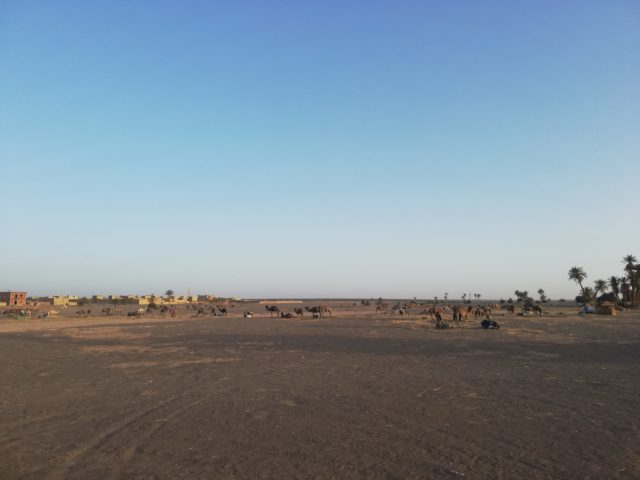 モロッコ、メルズーガ大砂丘