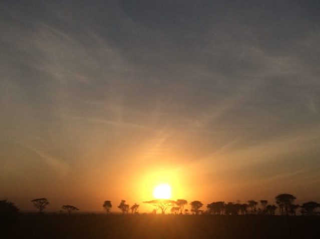 タンザニア、セレンゲティ国立公園の朝日