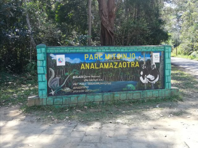 マダガスカルミチンジュ公園