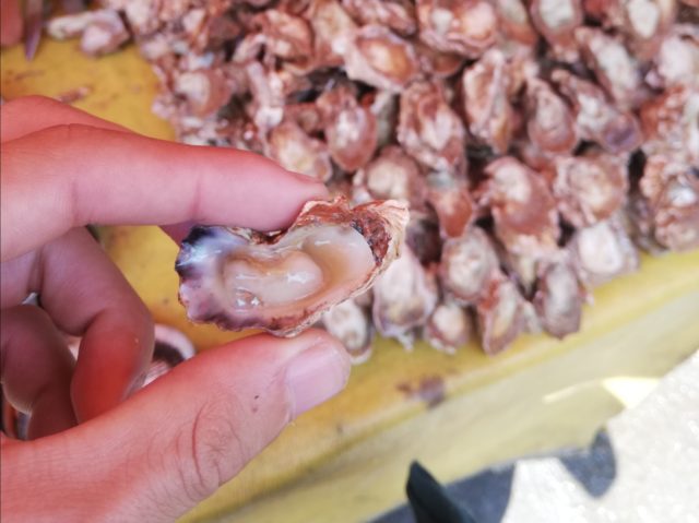 アンタナナリボの生牡蠣