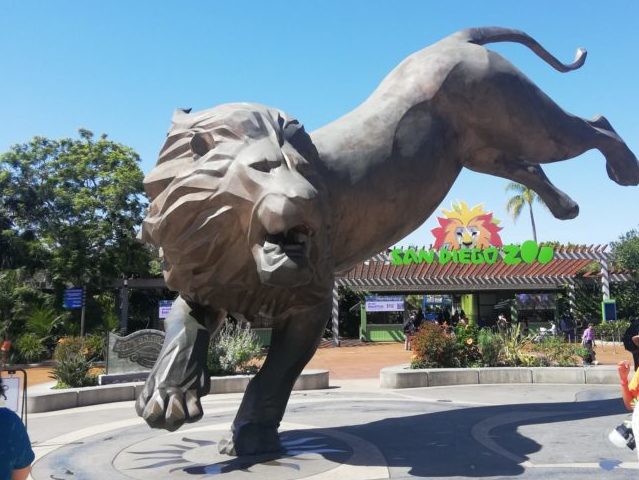 アメリカ サンディエゴ動物園 世界一大きい動物園の実態 Zooっと旅しよう 海外の国立公園や動物園を訪問し続ける旅人のブログ