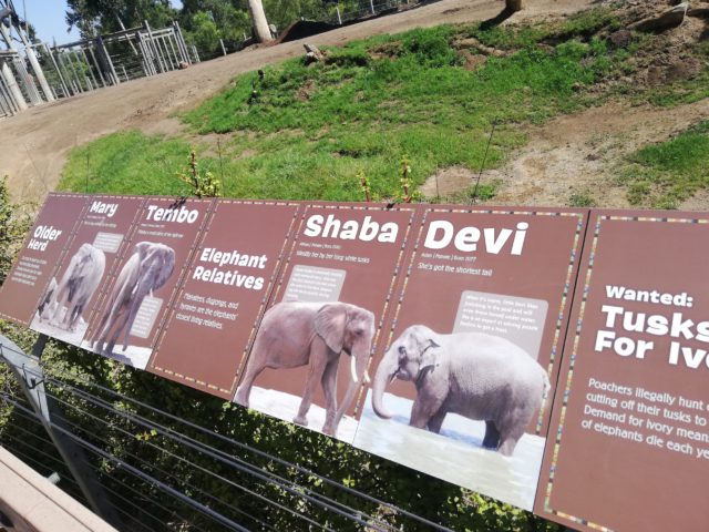 アメリカ サンディエゴ動物園 世界一大きい動物園の実態 Zooっと旅しよう 海外の国立公園や動物園を訪問し続ける旅人のブログ