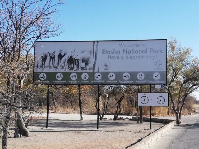 ナミビアのエトーシャ国立公園