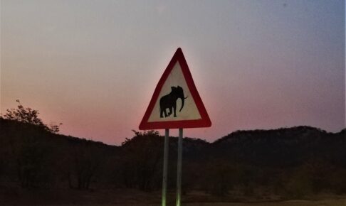 アフリカゾウ注意の看板