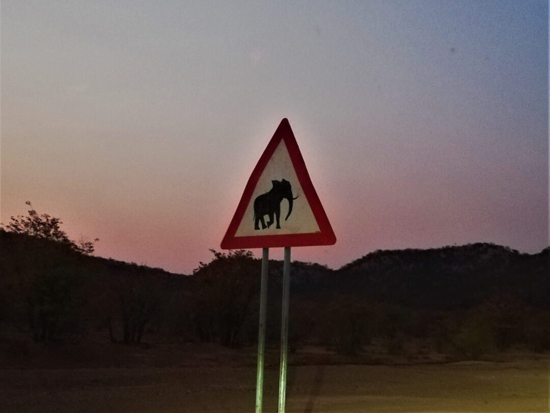 アフリカゾウ注意の看板