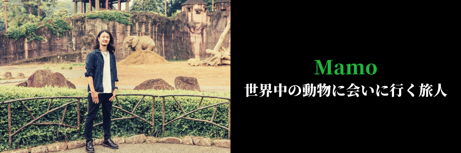 A traveler who goes to meet animals around the world