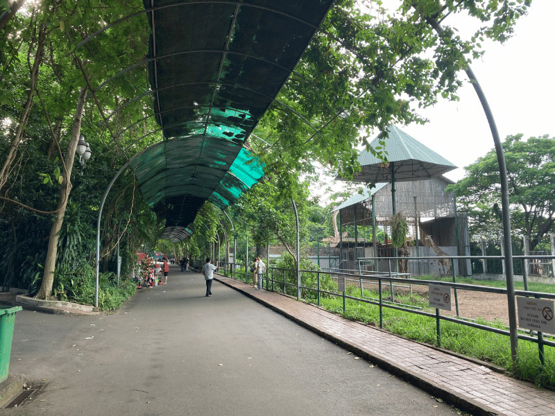 サイゴン動物園_緑のカーテン