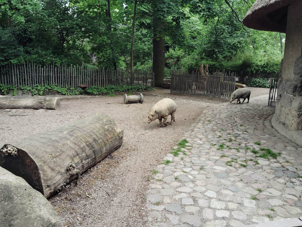 ドイツ／ベルリン動物園～飼育種類数世界一のドイツ最古の動物園～ | Zooっと旅しよう！動物旅の情報サイト