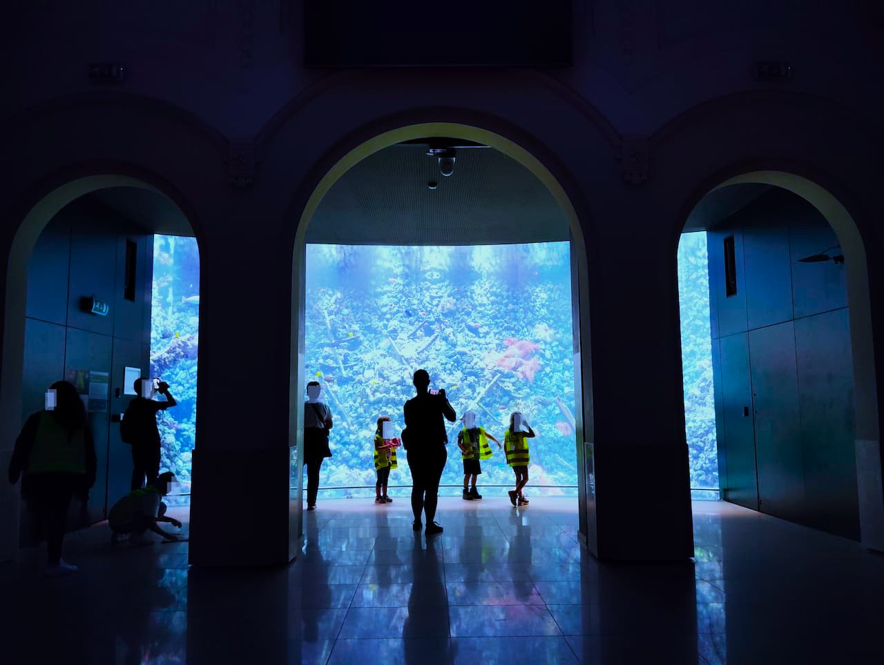 ベルギーアントワープ動物園の水族館１