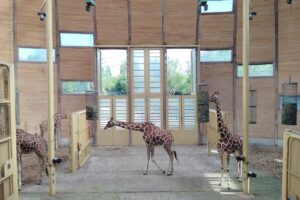 ブライドープ動物園：太陽光が降り注ぐ室内
