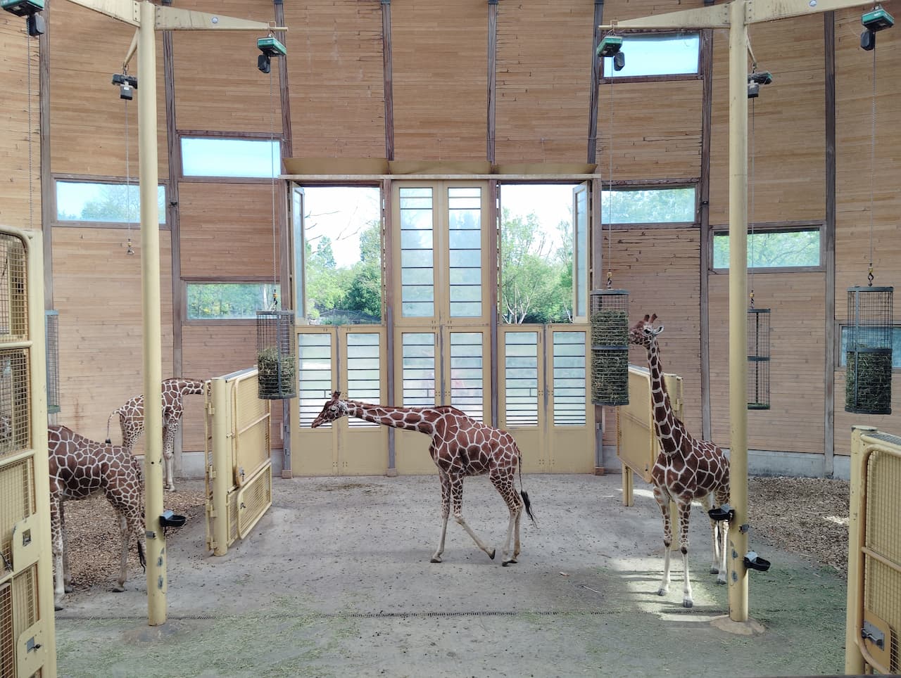 ブライドープ動物園：太陽光が降り注ぐ室内