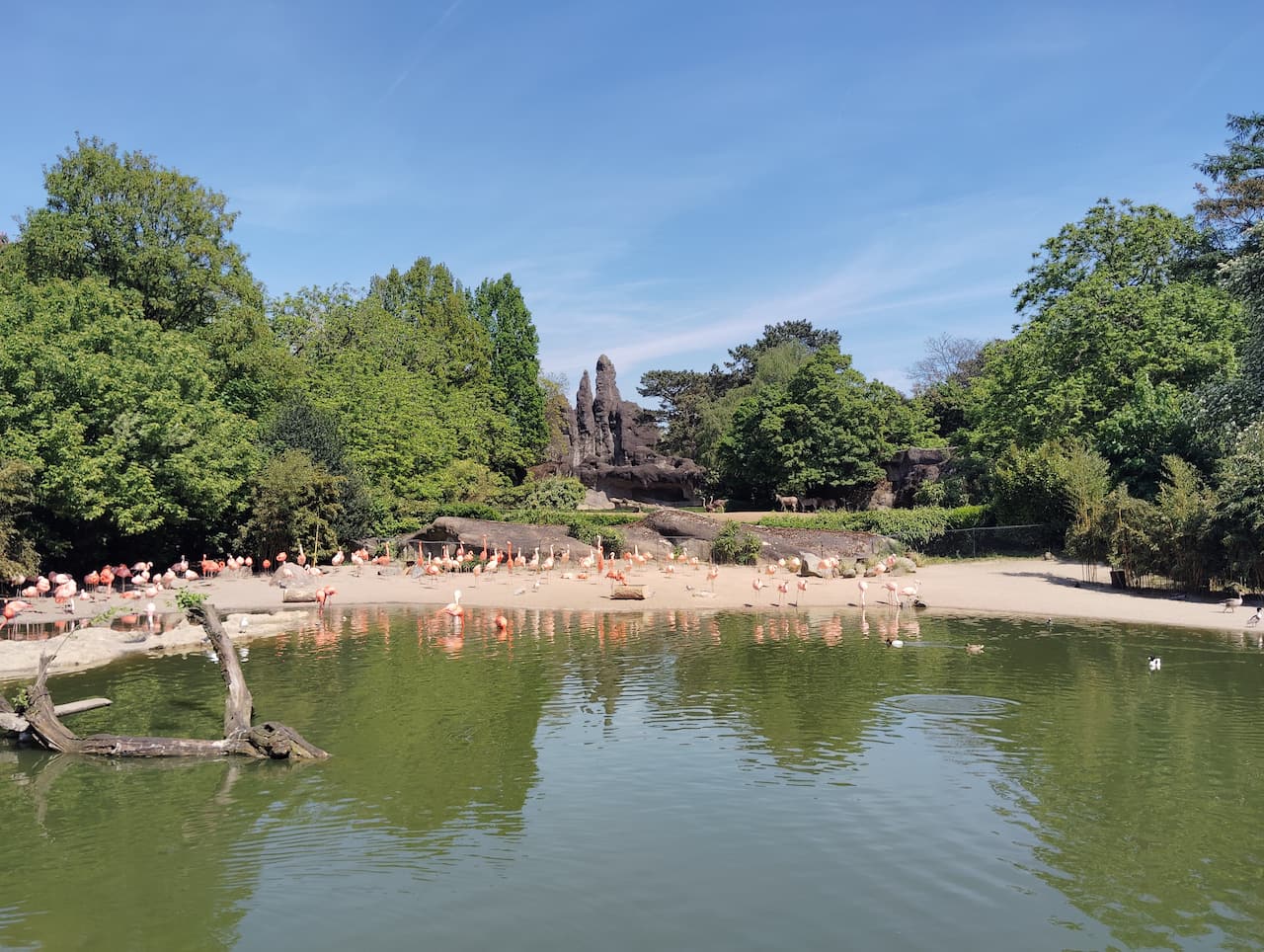 Hagenbeck Tierpark-african panorama1