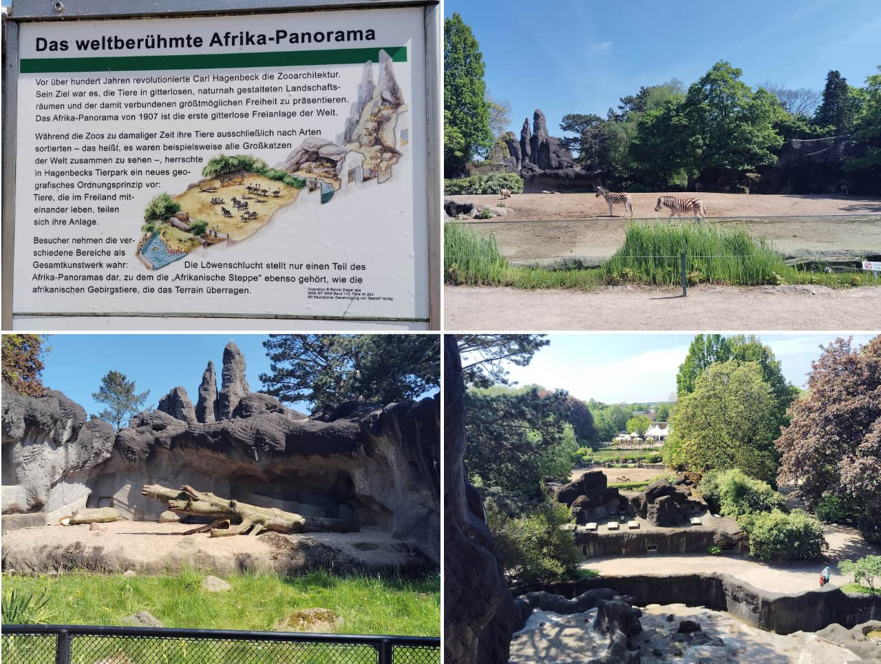 Hagenbeck Tierpark-africapanorama2