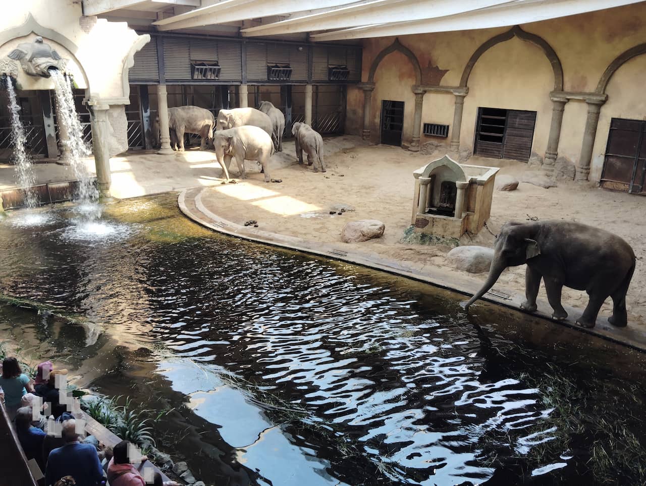 Hagenbeck Tierpark-elephants