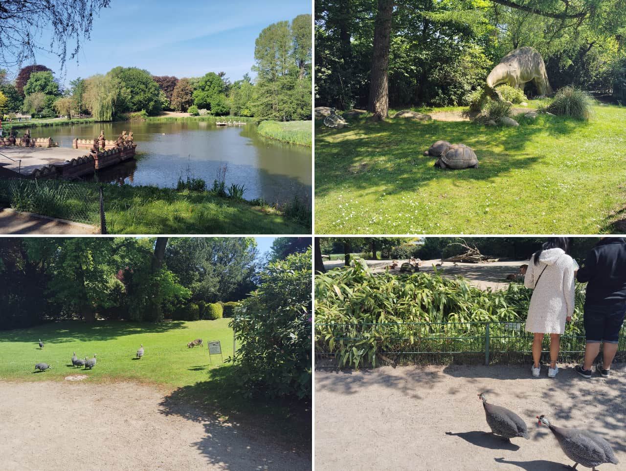 Hagenbeck Tierpark-inside