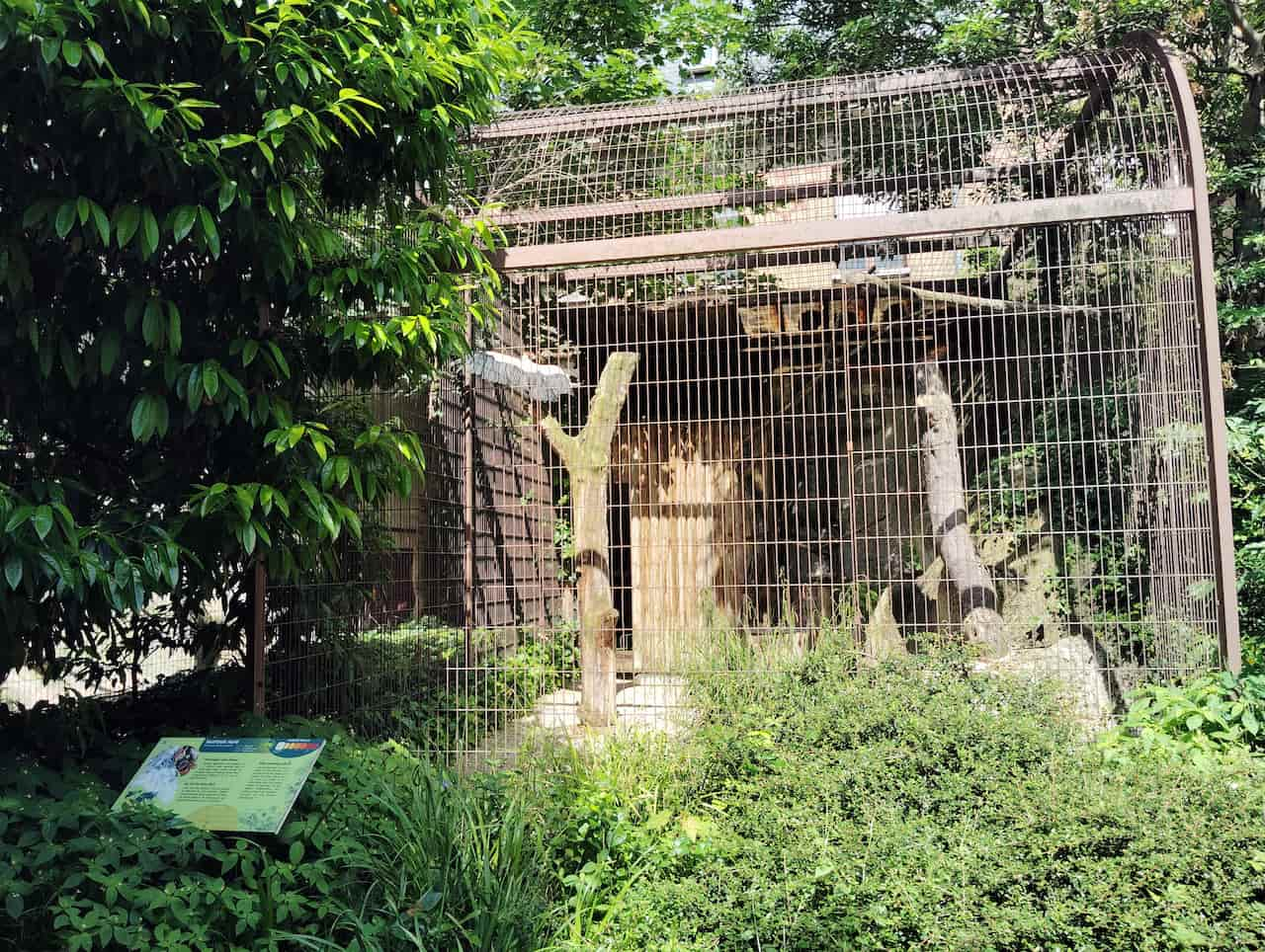 パリ植物園付属動物園の園内の様子②