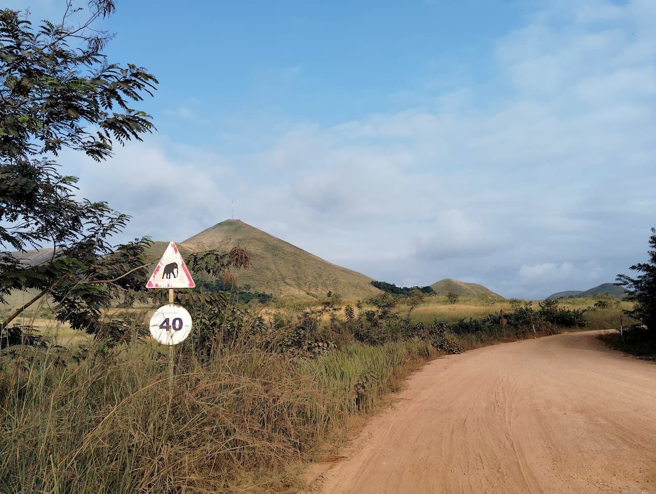 ゾウ注意の看板とブラザ山