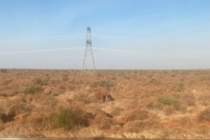 モンバサ・ナイロビ標準軌鉄道の景色：サバンナゾウ①