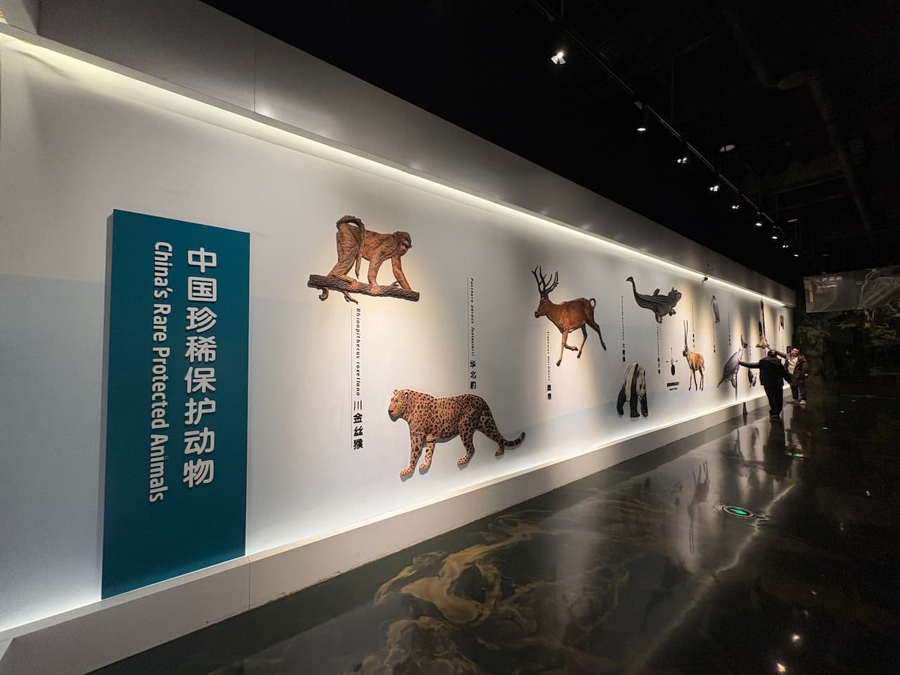 China_Chengdu Research Base of Giant Panda Breeding_museum4