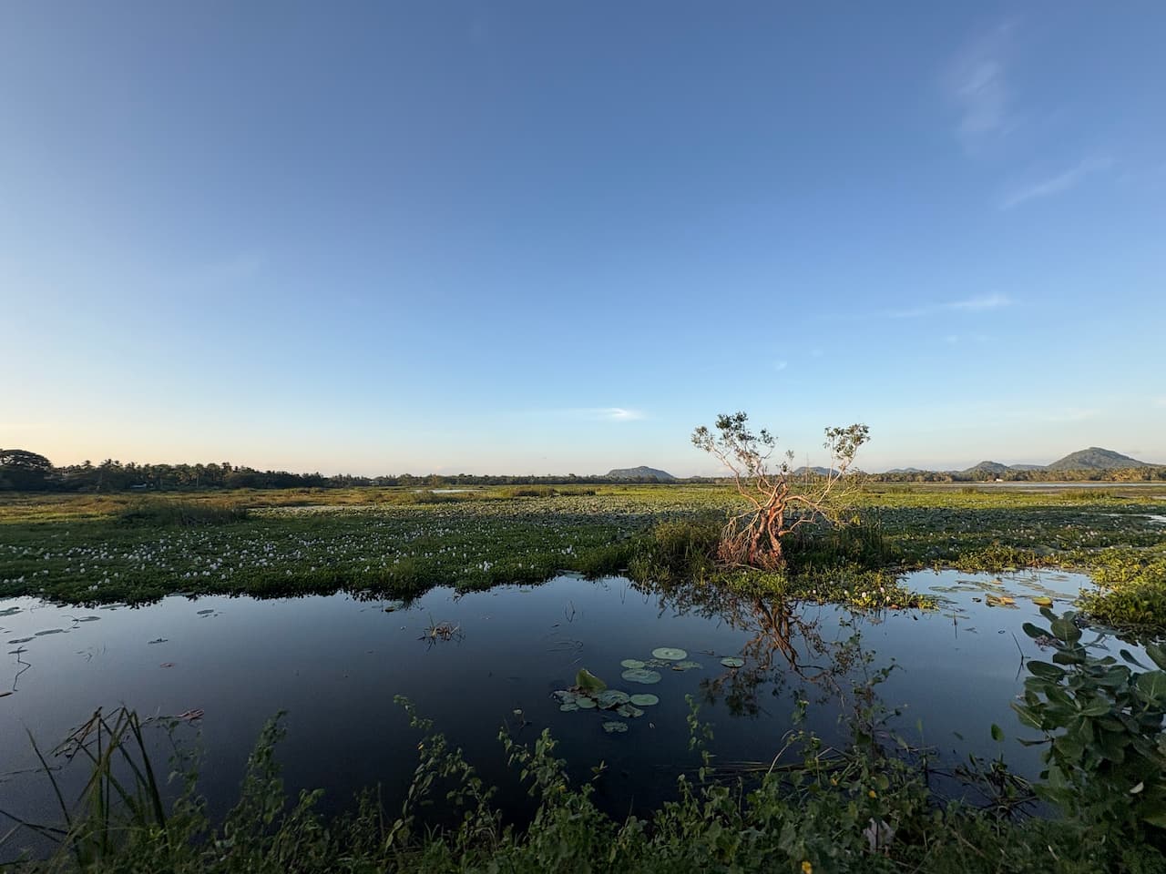 スリランカのティッサマハーラーマ_ティッサ湖畔